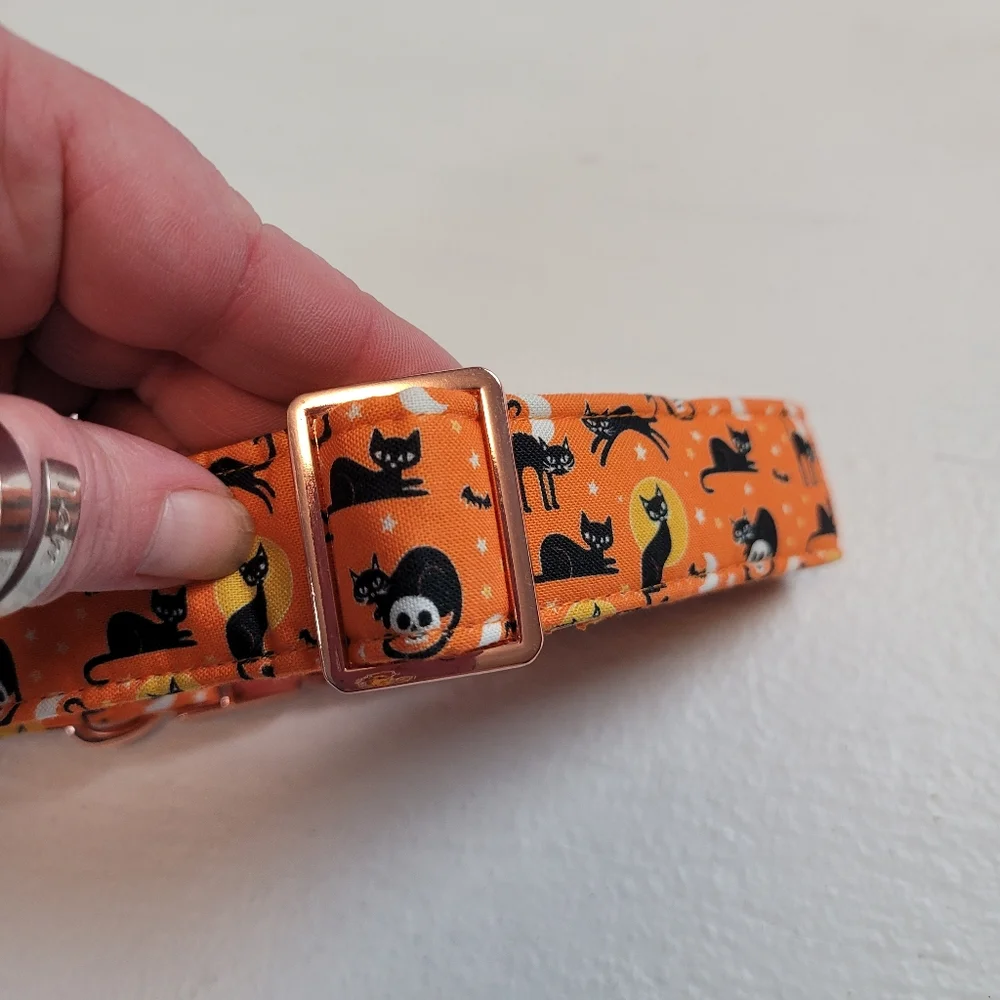 Lionheart Glory Orange Cat Print Dog Collar with Rose Gold Hardware